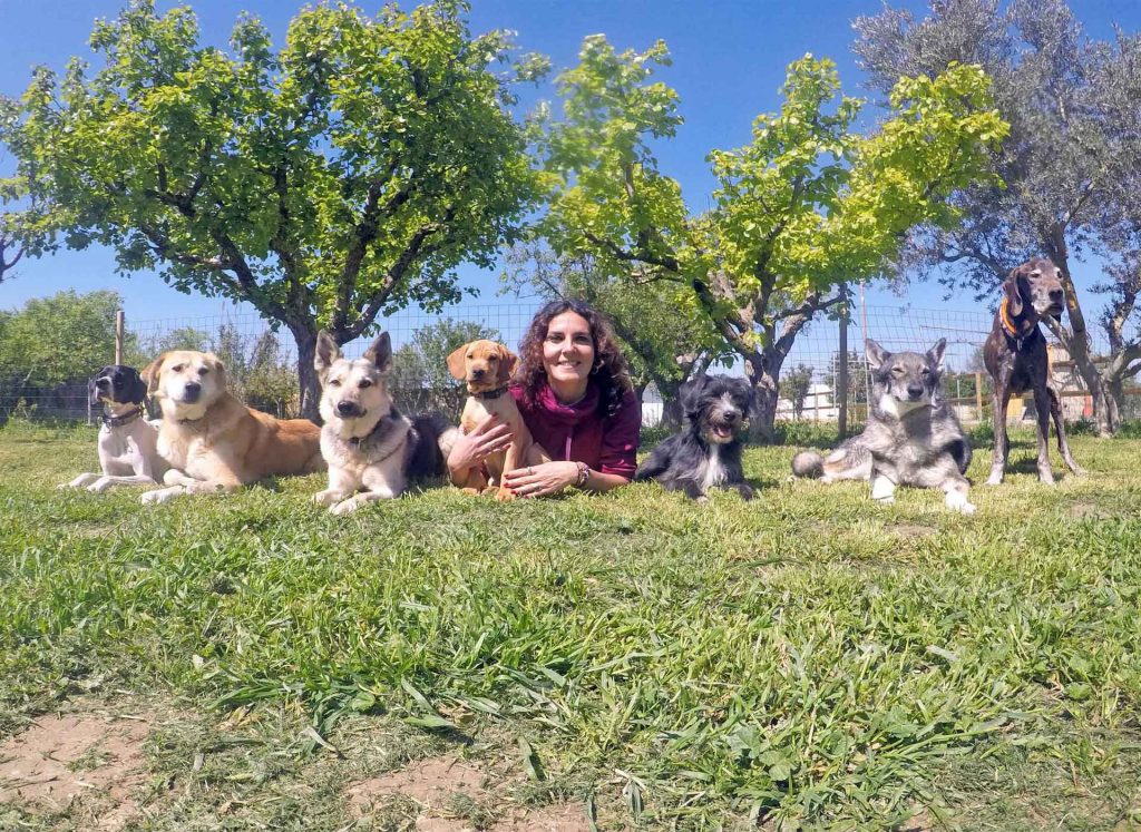 Angela Morchon adiestrador de perros en zaragoza