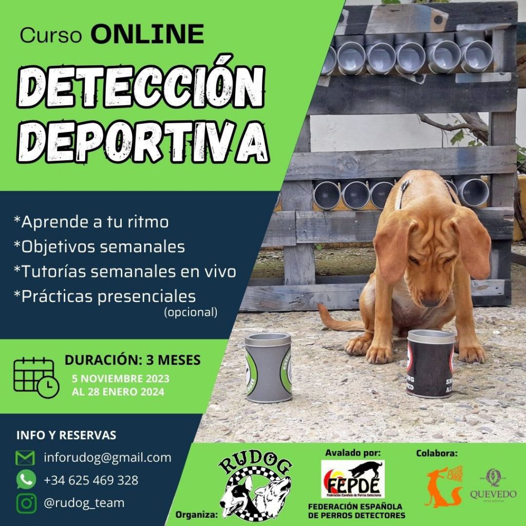 curso deteccion deportiva perros