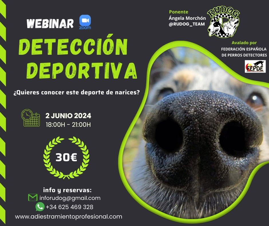 webinar deteccion canina online